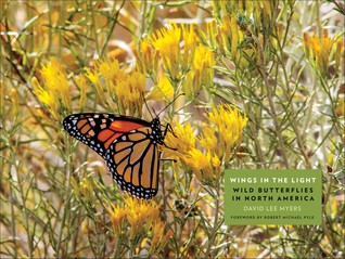 Wings in the Light: Wild Butterflies in North America (Hardcover)