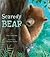 Scaredy Bear
