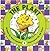 The Plant