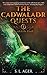11+ Vocabulary – The Cadwaladr Quests – Book One by S.L. Ager