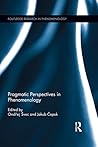 Pragmatic Perspectives in Phenomenology (Routledge Research in Phenomenology Book 6)