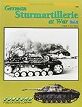 Sturmartillerie on Combat