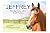 Jeffrey: The Big Horse with...