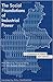 The Social Foundations of Industrial Power: A Comparison of France and Germany