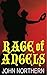 Rage of Angels: A Hallows C...