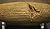 The Cyrus Cylinder by Cyrus the Great