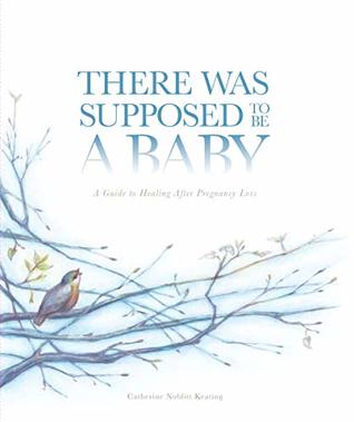 There Was Supposed to Be a Baby: A Guide to Healing After Pregnancy Loss (Kindle Edition)