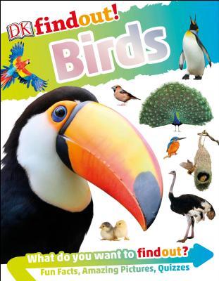 DKfindout! Birds (Paperback)