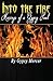 Into the Fire by Gypsy Mercer