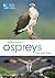 RSPB Spotlight Ospreys by Tim Mackrill