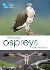 RSPB Spotlight Ospreys RSPB Spotlight Ospreys