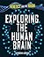 Exploring the Human Brain by Catherine Loveday