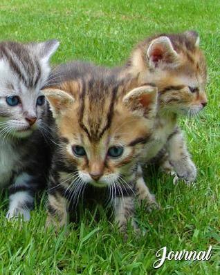 Journal: 8x10 100 entries 50 sheet wide rule lined paper Cute Kitten in grass Notebook Journal