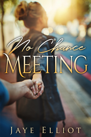 No Chance Meeting (No Chance Love, #1)