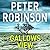 Gallows View (Inspector Banks, #1)