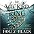 The Wicked King (Folk of the Air Series, 2)
