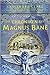 Die Chroniken des Magnus Bane