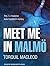 Meet Me in Malmo (Inspector Anita Sundstrom, #1)