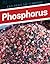 Phosphorus (Exploring the Elements)