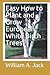 Easy How to Plant and Grow European White Birch Trees by William a Jack