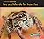 Los sentidos de los insectos (Comparar insectos) (Spanish Edition)
