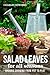 Salad Leaves for All Seasons: Organic Growing from Pot to Plot
