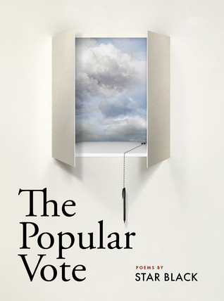 The Popular Vote (Paperback)