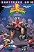 Mighty Morphin Power Rangers, Vol. 8