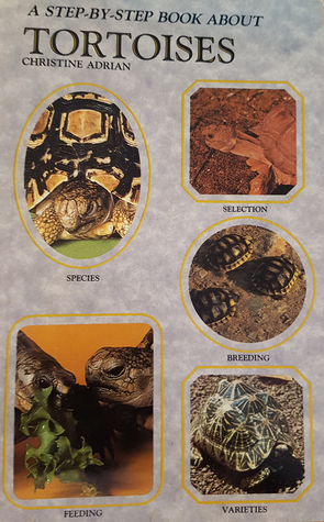 A Step-By-Step about Tortoises (Paperback)