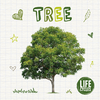 Tree (Life Cycles)