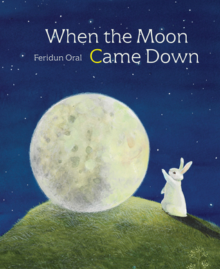 When the Moon Came Down (Hardcover)