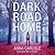 Dark Road Home: A Gin Sullivan Mystery
