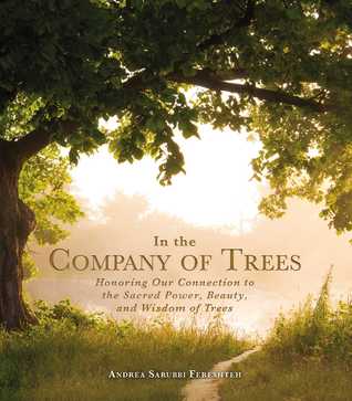 In the Company of Trees: Honoring Our Connection to the Sacred Power, Beauty, and Wisdom of Trees (Hardcover)