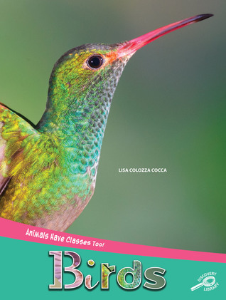 Rourke Educational Media Animals Have Classes Too! Birds Reader