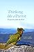Thinking like a Parrot: Perspectives from the Wild
