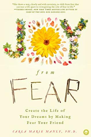 Joy from Fear: Create the Life of Your Dreams by Making Fear Your Friend (Paperback)