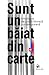 Sunt un băiat din carte. Antologie de proză slovacă contemporană by Helliana Ianculescu