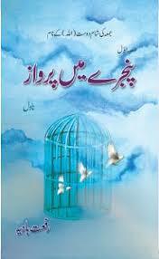 pinjray main parwaz