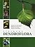 Lietuvos dendroflora by Mindaugas Navasaitis