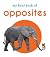 My First Book of Opposites: First Board Book