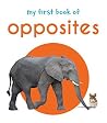 My First Book of Opposites: First Board Book