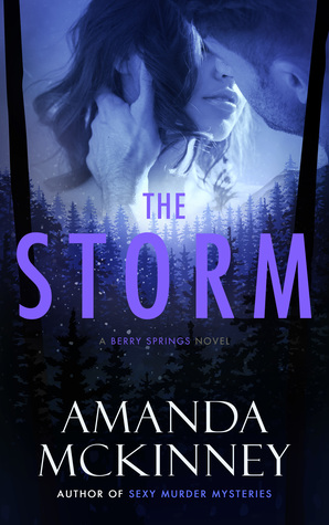 The Storm (Berry Springs, #3)