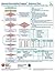 Neonatal Resuscitation Program Reference Chart (NRP)