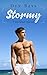 Stormy (Two Dad Island #1)