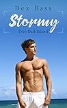Stormy (Two Dad Island #1)