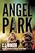 Angel Park (The Park Trilog...