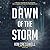 Dawn of the Storm (A Raina ...