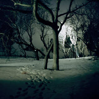 Night Divine