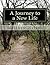 A Journey to a New Life by Matthew Nelson