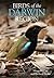 Birds of the Darwin Region